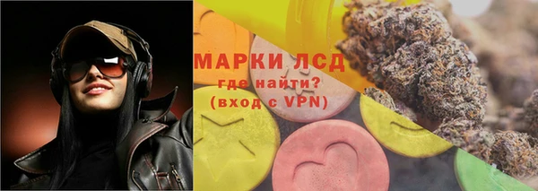 прущие грибы Володарск