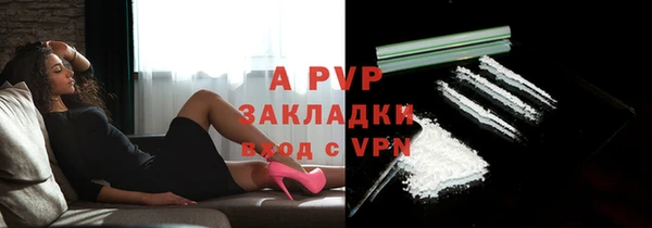 сатива Волосово