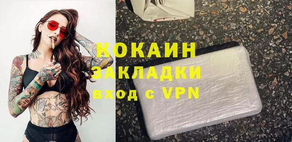прущие грибы Володарск