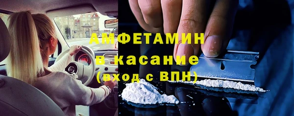 прущие грибы Володарск