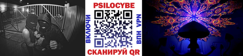 Псилоцибиновые грибы MAGIC MUSHROOMS  Купить закладки  Кирсанов 